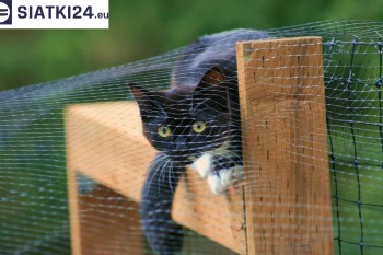 Siatki Kęty - Dobra siatka balkonowa - na ptaki i dla kota dla terenów Kęt