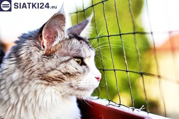 Siatki Kęty - Siatka na balkony dla kota i zabezpieczenie dzieci dla terenów Kęt